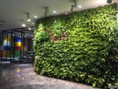 室内绿墙景观（1）