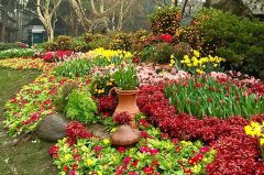花镜景观
