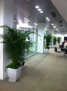 公司通道绿植景观